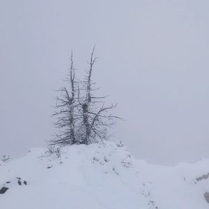 Meet your Posher, Cherilyn